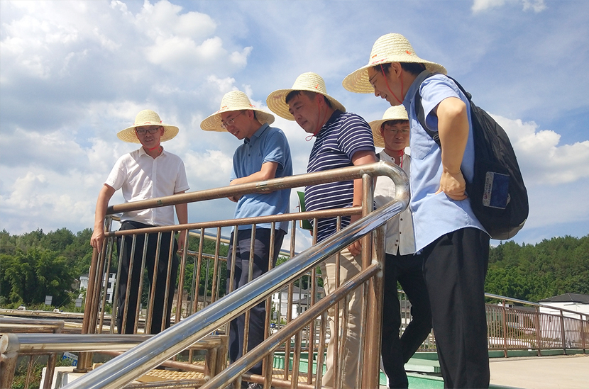 1597974784289254.jpg 1593768609400494.jpg