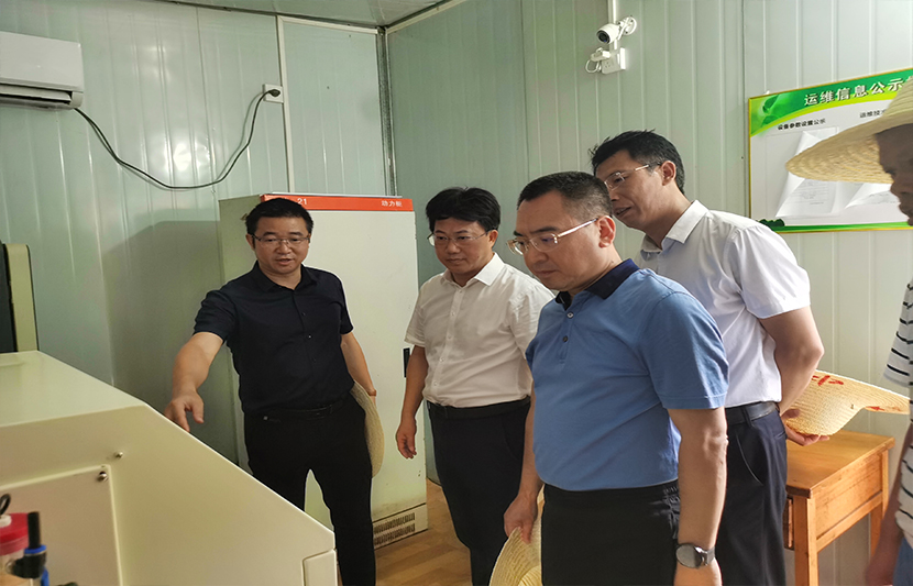 1623655043419559.jpg 6.jpg