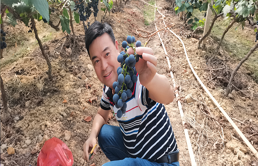 1624771845115075.jpg 4.jpg