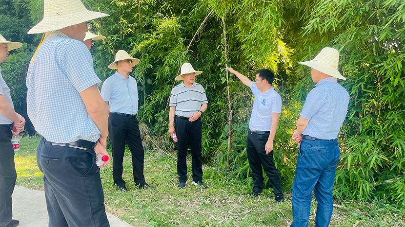 1685438203900438.jpg 3.jpg